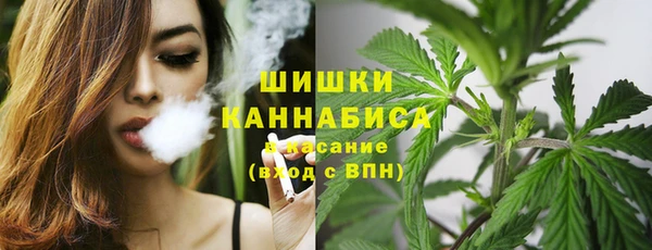 соль ск Верея