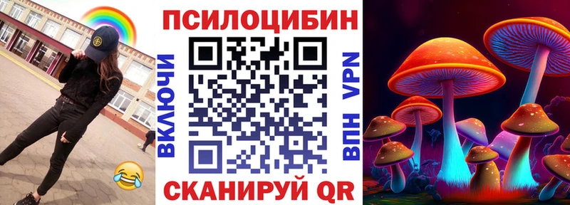 хочу наркоту  Каспийск  Псилоцибиновые грибы Cubensis 