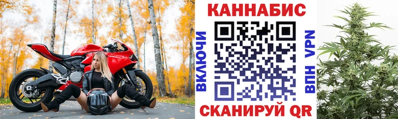 Каннабис планчик  Каспийск 